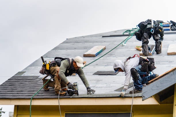 Professional Roofing technician working in Long Grove, IA